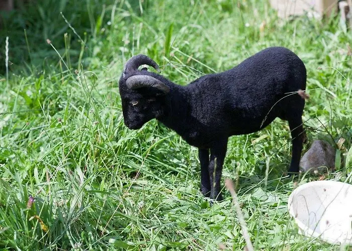 Eggerhof * Рамзау