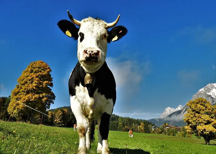 Eggerhof * 람자우 암 다흐스타인